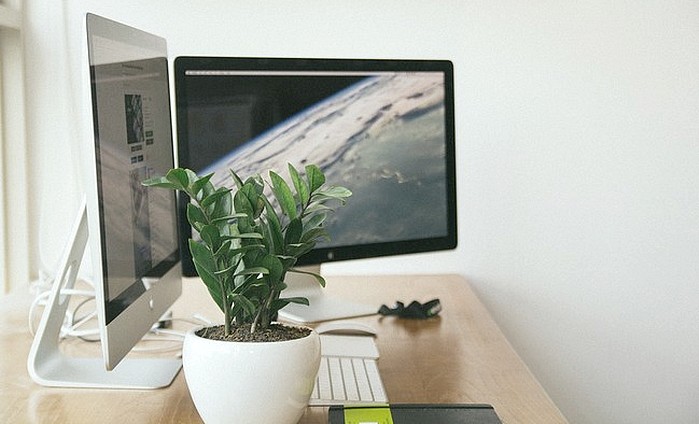 blogging tendance clémence