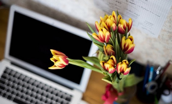 blogging tendance clémence