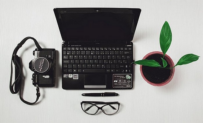 blogging tendance clémence