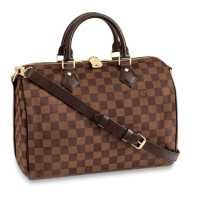 Speedy 30 Damier ébène