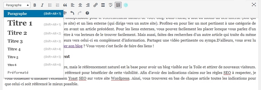 LES VÉRIFICATIONS A FAIRE AVANT DE PUBLIER UN ARTICLE DE BLOG