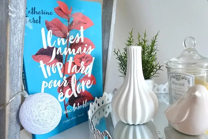 livre lecture carnet d'une Late Bloomer tendance clémence blog