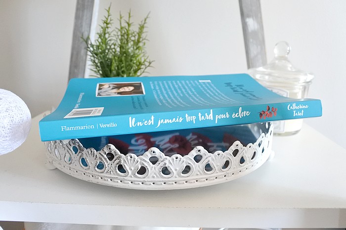 livre lecture carnet d'une late bloomer tendance clémence blog